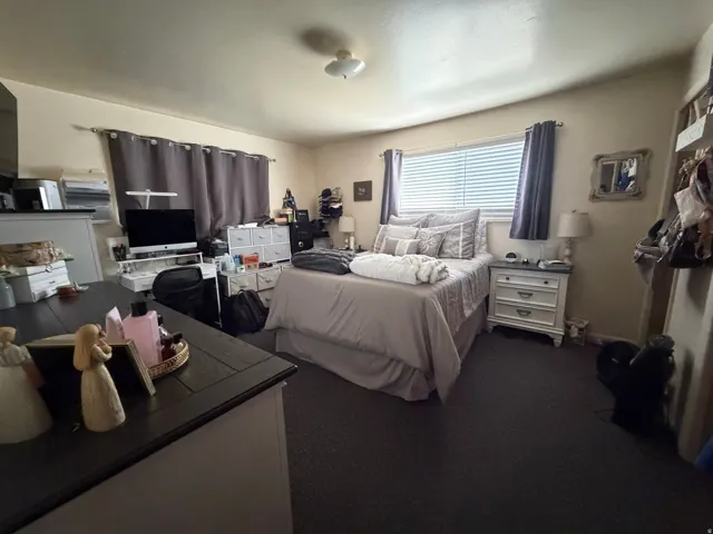 Carpeted bedroom featuring a ceiling-mounted light fixture, a window with blinds, and light-toned wall paint