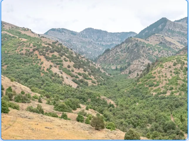 Expansive natural landscape featuring rolling hills and mountainous terrain