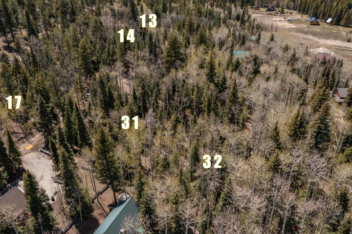 Wooded parcel featuring a mix of evergreen and deciduous trees, with multiple clearings and partially developed areas