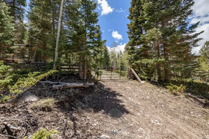Gated property entrance surrounded by mature evergreen and aspen trees