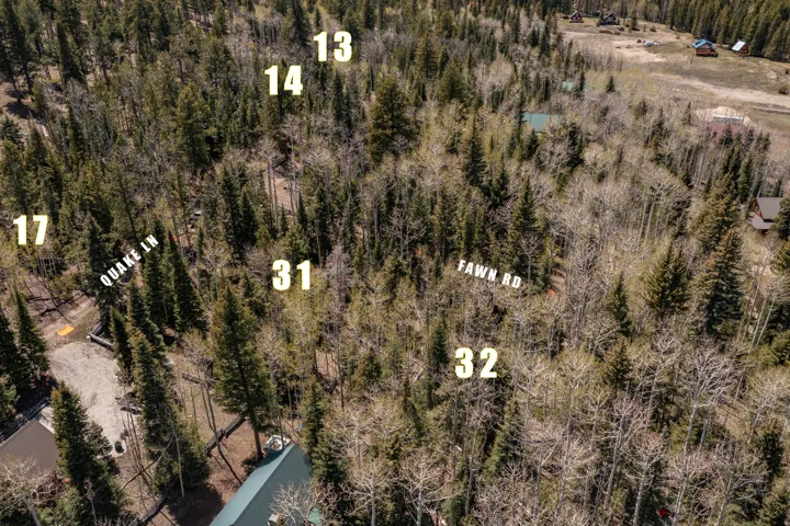 Expansive wooded parcel featuring mature evergreen and deciduous trees