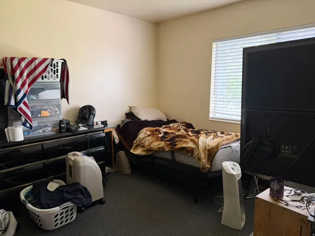 Bedroom featuring a large window with horizontal blinds, neutral wall paint, and gray carpet