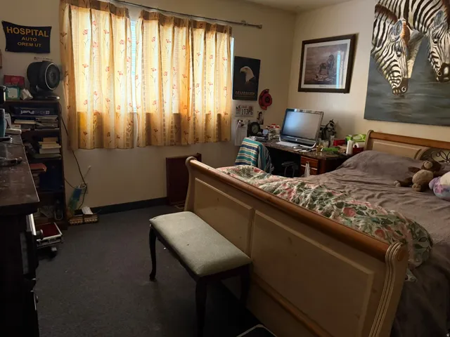 Carpeted room featuring a large window with privacy curtains, painted walls, and a built-in baseboard heater