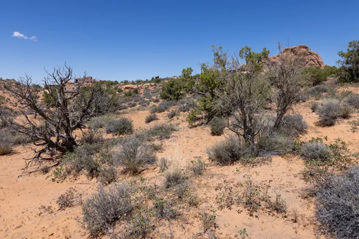 2176 Navajo Hts, Moab, Utah 84532