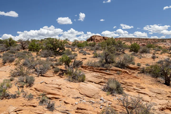 2176 Navajo Hts, Moab, Utah 84532