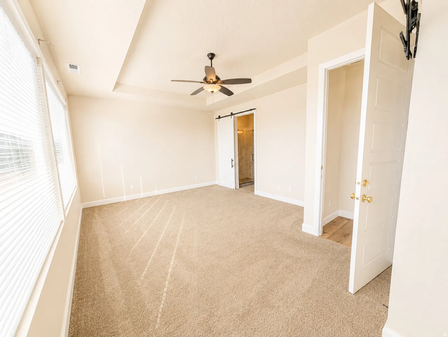 Spacious room featuring neutral carpeting, a tray ceiling with a dark-tone ceiling fan, and multiple windows with blinds