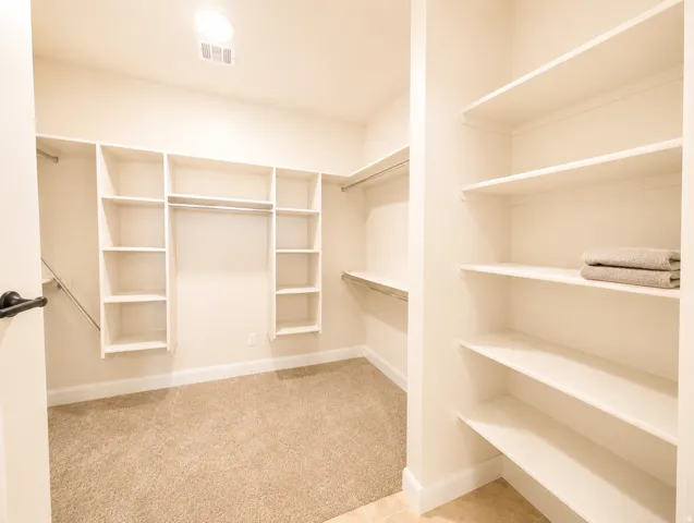 Spacious walk-in closet featuring extensive built-in shelving, multiple hanging rods, warm beige carpeting, and light wall tones