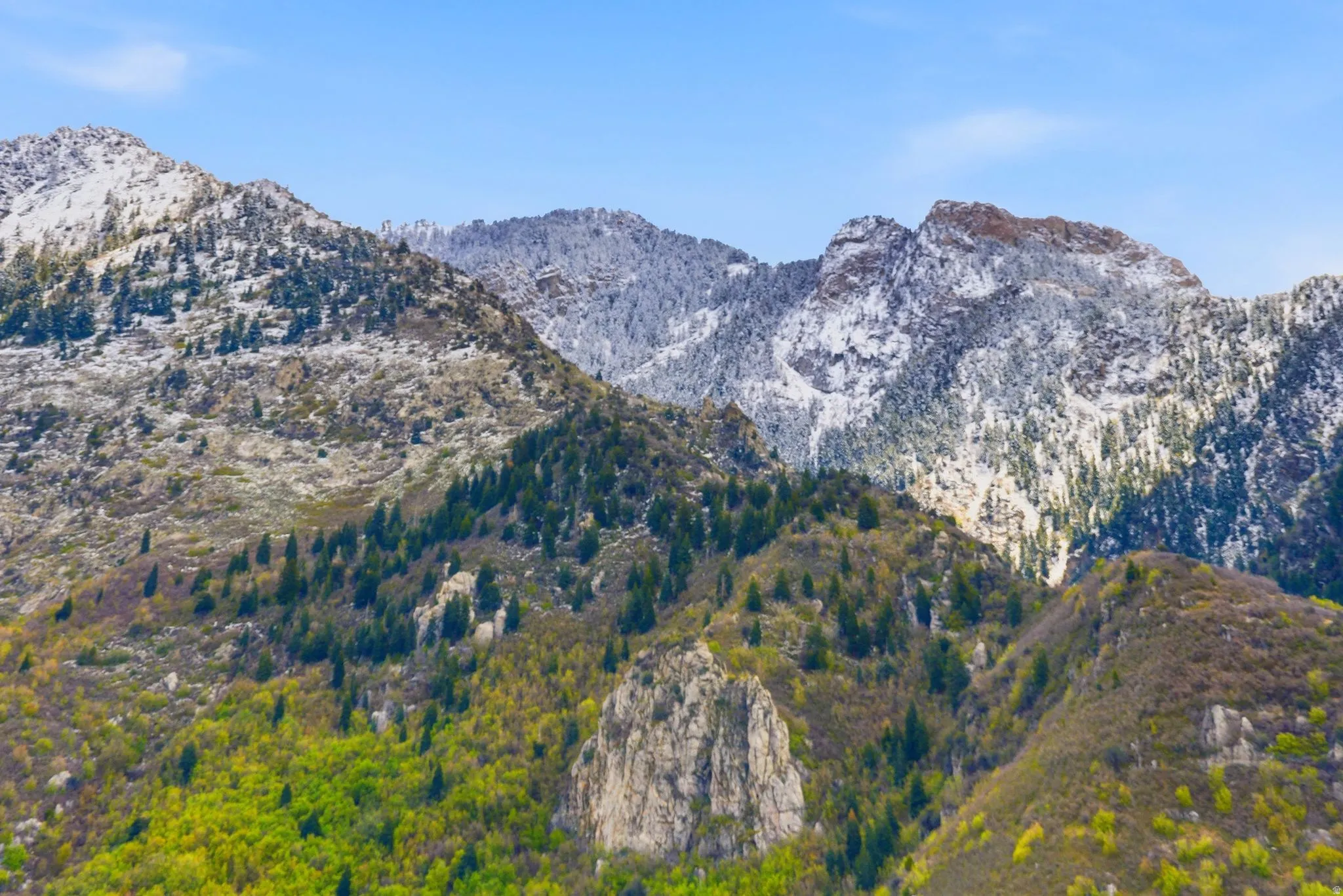 Majestic mountain backdrop featuring snow-capped peaks and forested slopes