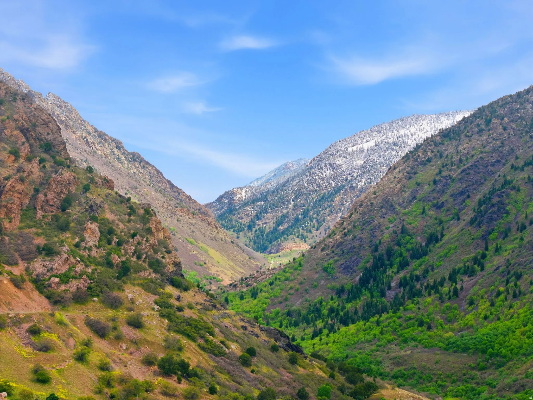 Mountain valley showcasing verdant slopes and a snow-capped peak under a clear blue sky