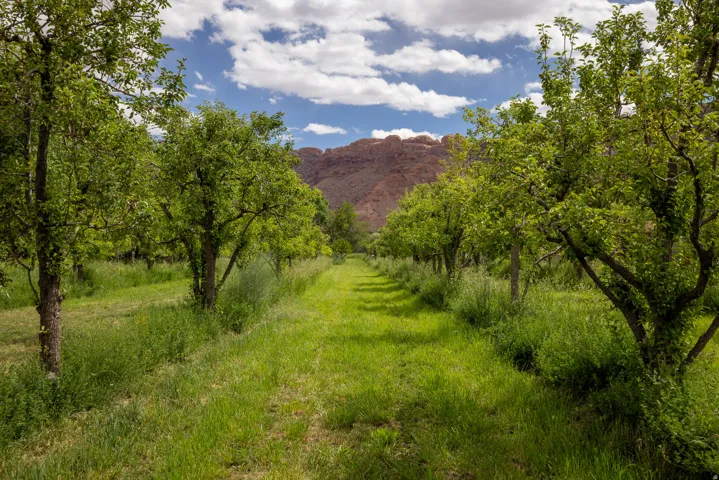 702 Dragon Fly Trl, Moab, Utah 84532