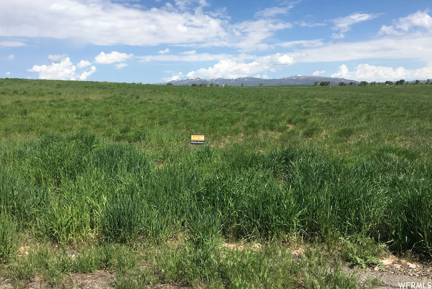 Expansive land parcel featuring open fields and distant mountain ranges