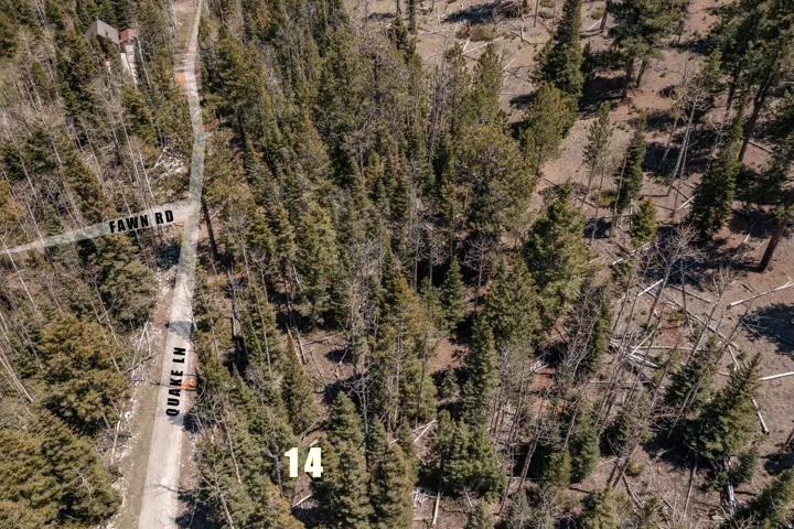 Aerial perspective of a heavily wooded parcel of land, featuring dense evergreen and deciduous trees