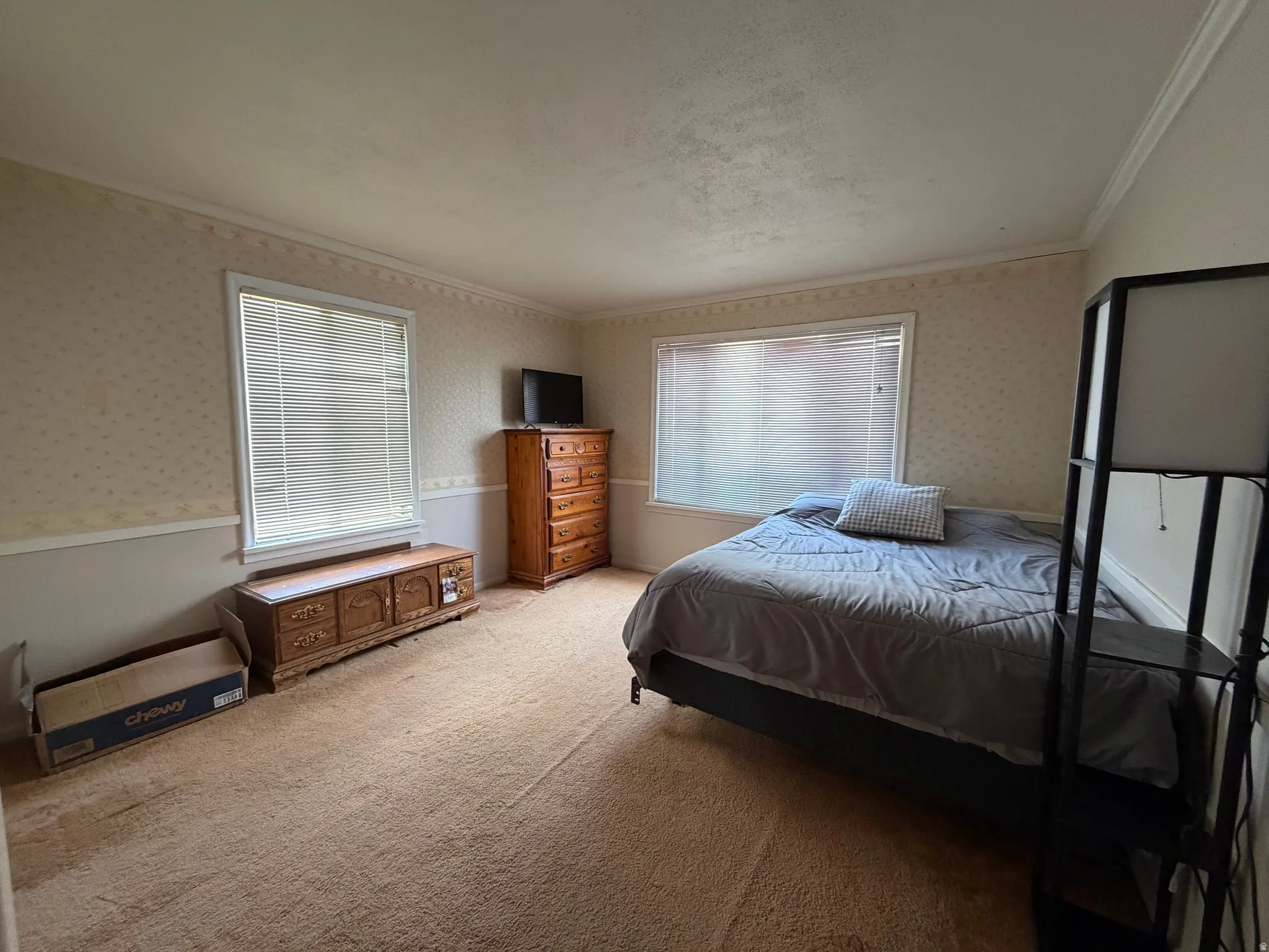 Carpeted room with two windows featuring horizontal blinds, wallpapered walls with a chair rail, and crown molding