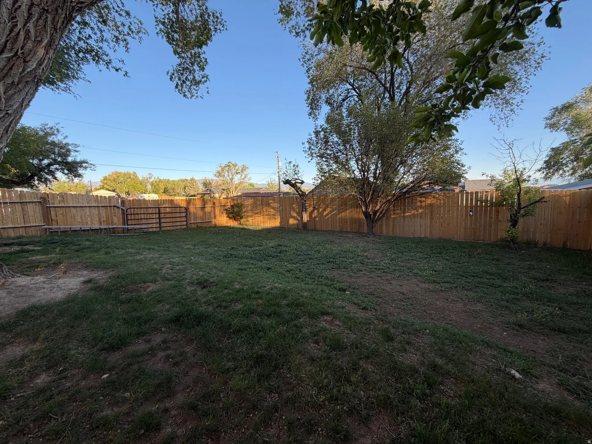 Expansive backyard featuring a combination of grass and natural ground cover, surrounded by a tall wooden privacy fence