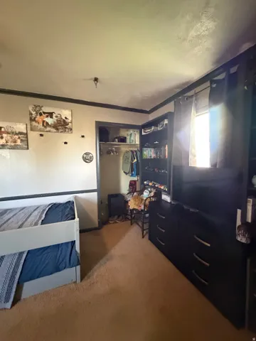 Carpeted room featuring a built-in closet with shelving, a window with dark curtains, and crown molding