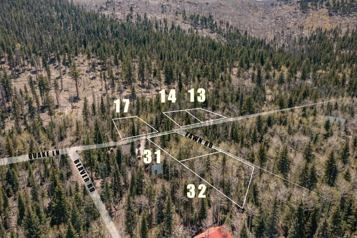 Aerial perspective showcasing multiple wooded parcels with defined boundaries