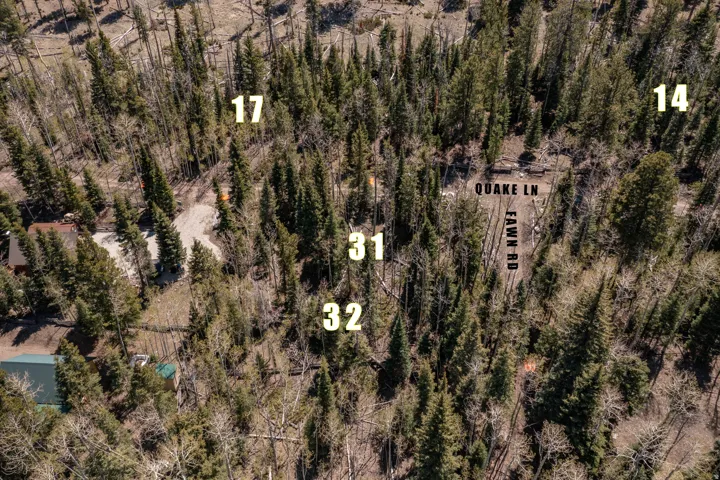 Aerial overview featuring a wooded landscape with mature evergreen trees