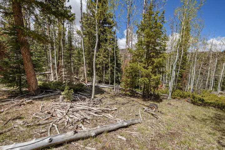 Wooded lot featuring mature pine trees and aspens, ground cover with natural shrubbery, and varying terrain