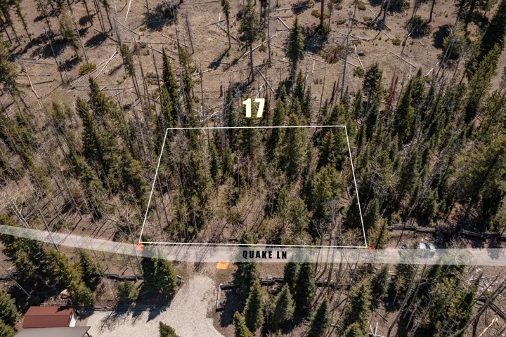 Property Survey. Indicating the boundaries and identifying features of the property