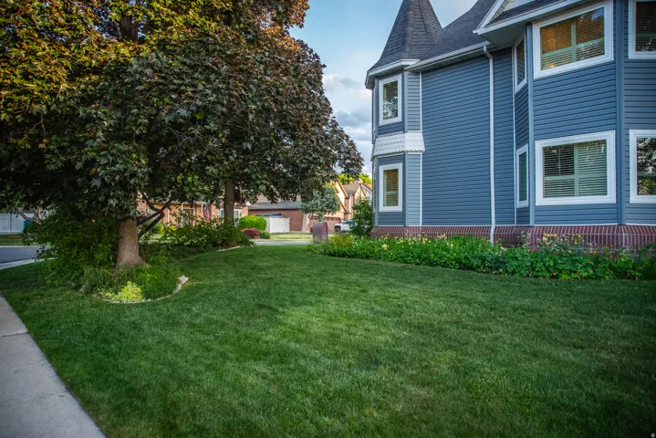 Lush green lawn with mature shade trees