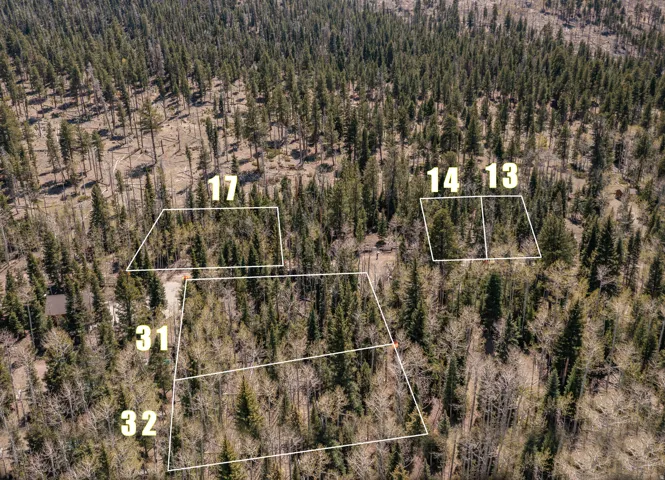 Expansive wooded parcels featuring mature coniferous trees