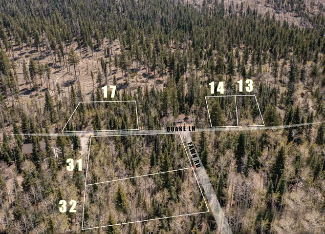 Aerial view of multiple wooded parcels featuring a dense tree canopy