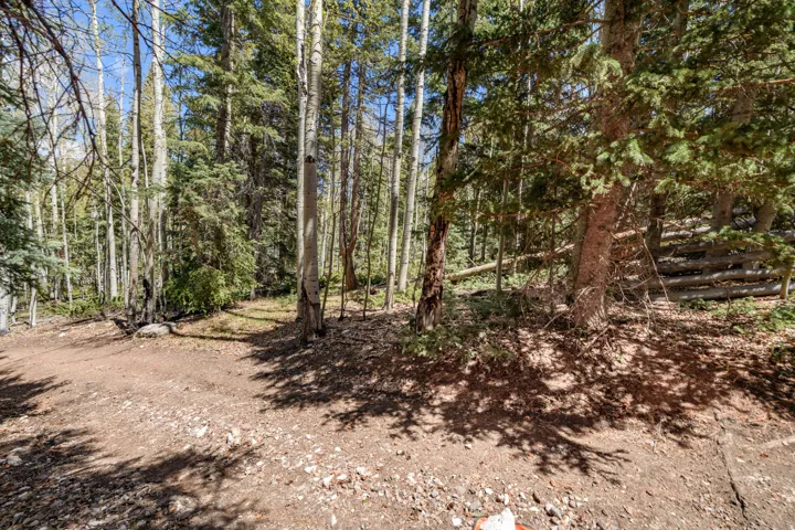 Wooded lot featuring mature evergreen trees and aspens, partially cleared ground, and natural log fencing