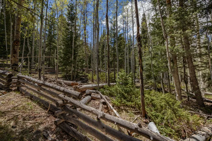 Wood fence structure on a sloped, natural landscape