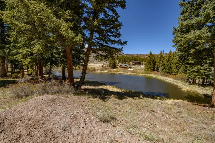 Pond-front property featuring a natural shoreline, surrounding evergreen trees, and distant log-style structures
