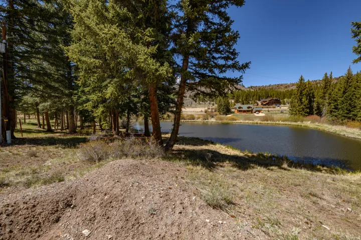 Expansive property featuring a tranquil pond, mature evergreen trees, gently sloping terrain, natural groundcover, and a distant residence