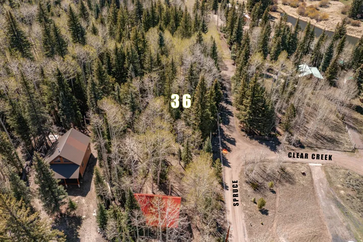 Aerial perspective showcasing a property surrounded by mature evergreen trees