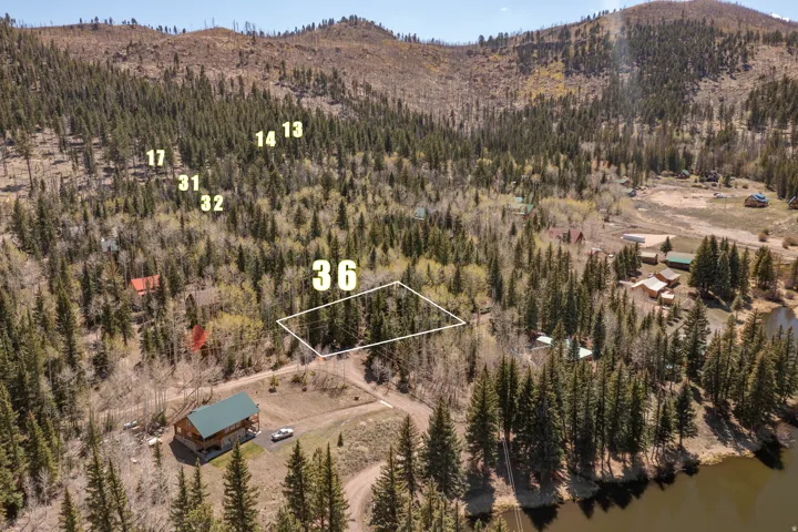Expansive mountainous terrain featuring dense evergreen and deciduous trees