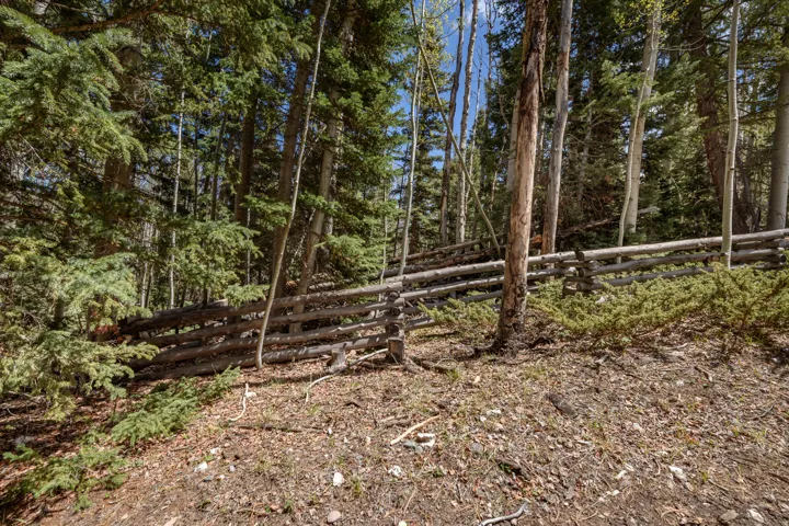 Natural wooded landscape featuring a rustic split rail fence