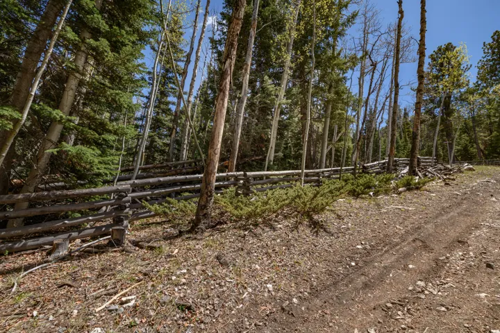Wood-post fencing bordering a natural, wooded area featuring mature evergreen and deciduous trees