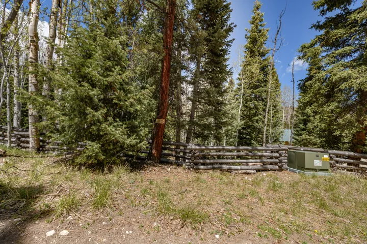 Natural wood split-rail fence bordering a grassy area with mature evergreen trees and aspens