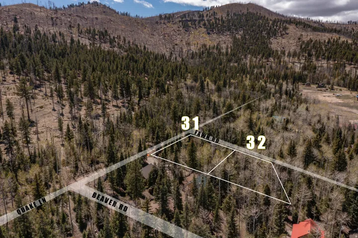 Aerial overview of a mountainous, heavily treed lot