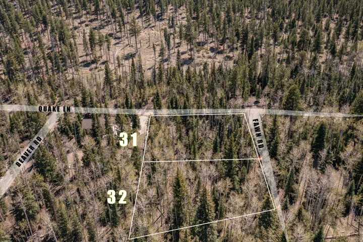 Property Survey. Highlighting the boundaries of parcels 31 and 32 relative to Quake Lane, Beaver Road, and Fawn Road