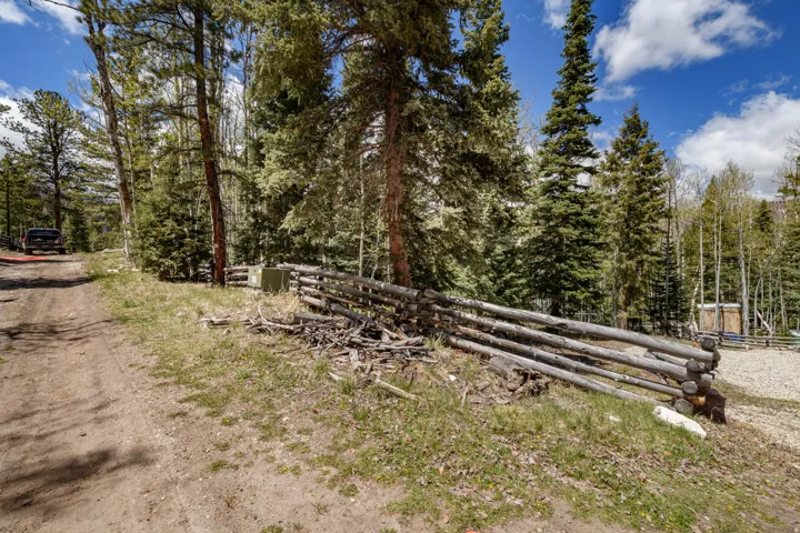 Rustic split-rail fence bordering a natural landscape with mature evergreen and deciduous trees