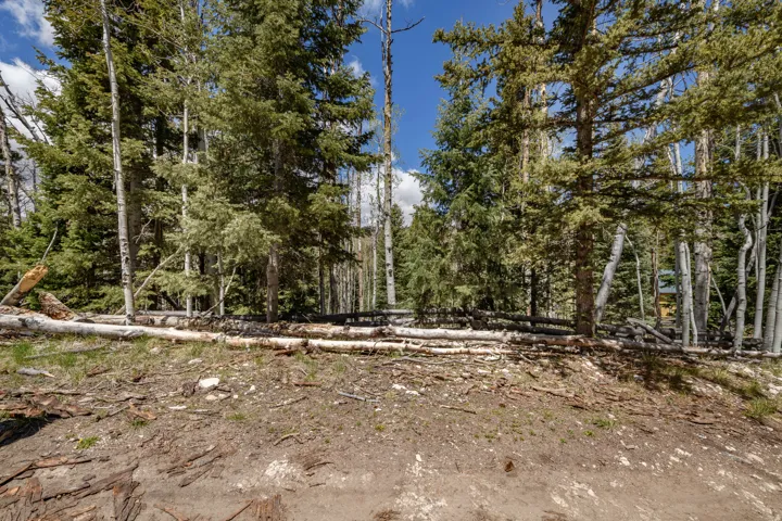 Wooded lot featuring mature pine and aspen trees, natural ground cover, and a partial distant structure