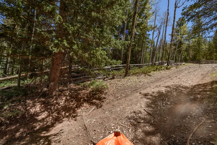 Wooded lot featuring a natural dirt path, mature evergreen trees, and a rustic log fence