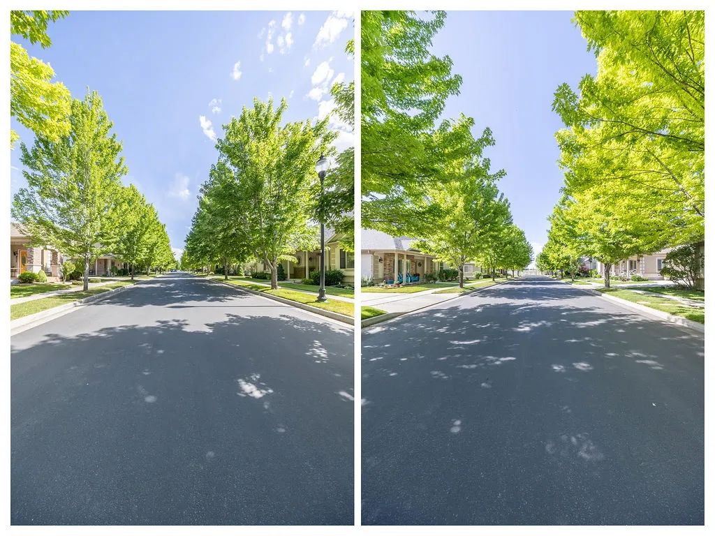 Tree-lined street with manicured lawns and sidewalk pathways