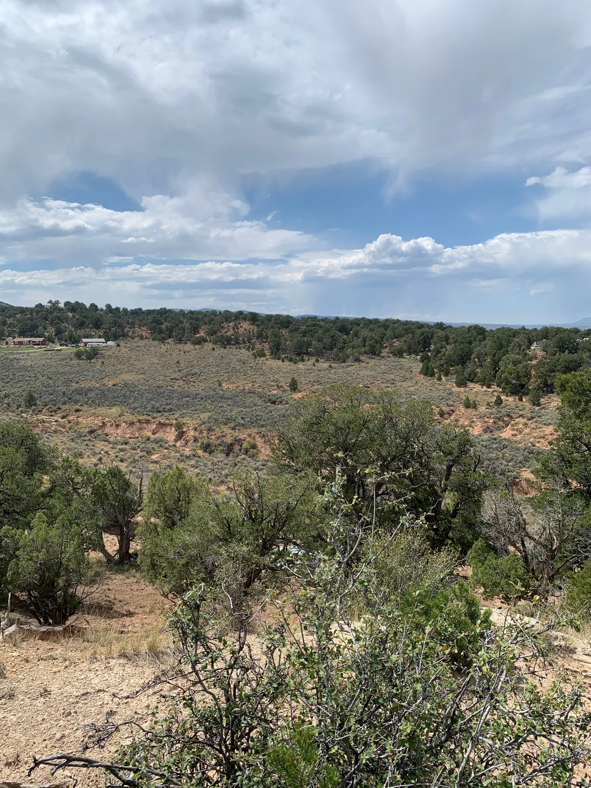 Expansive natural landscape featuring varied terrain, abundant mature trees, and distant structures under a broad sky