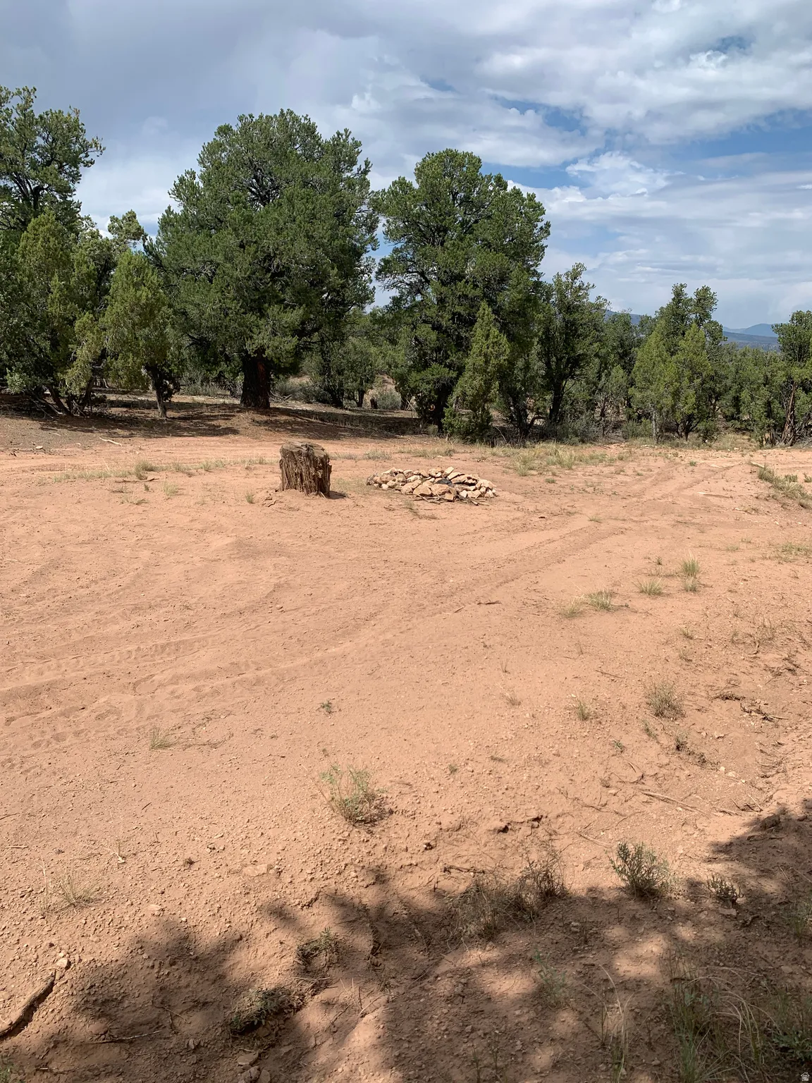 Expansive land parcel featuring mature evergreen trees and a fire pit area
