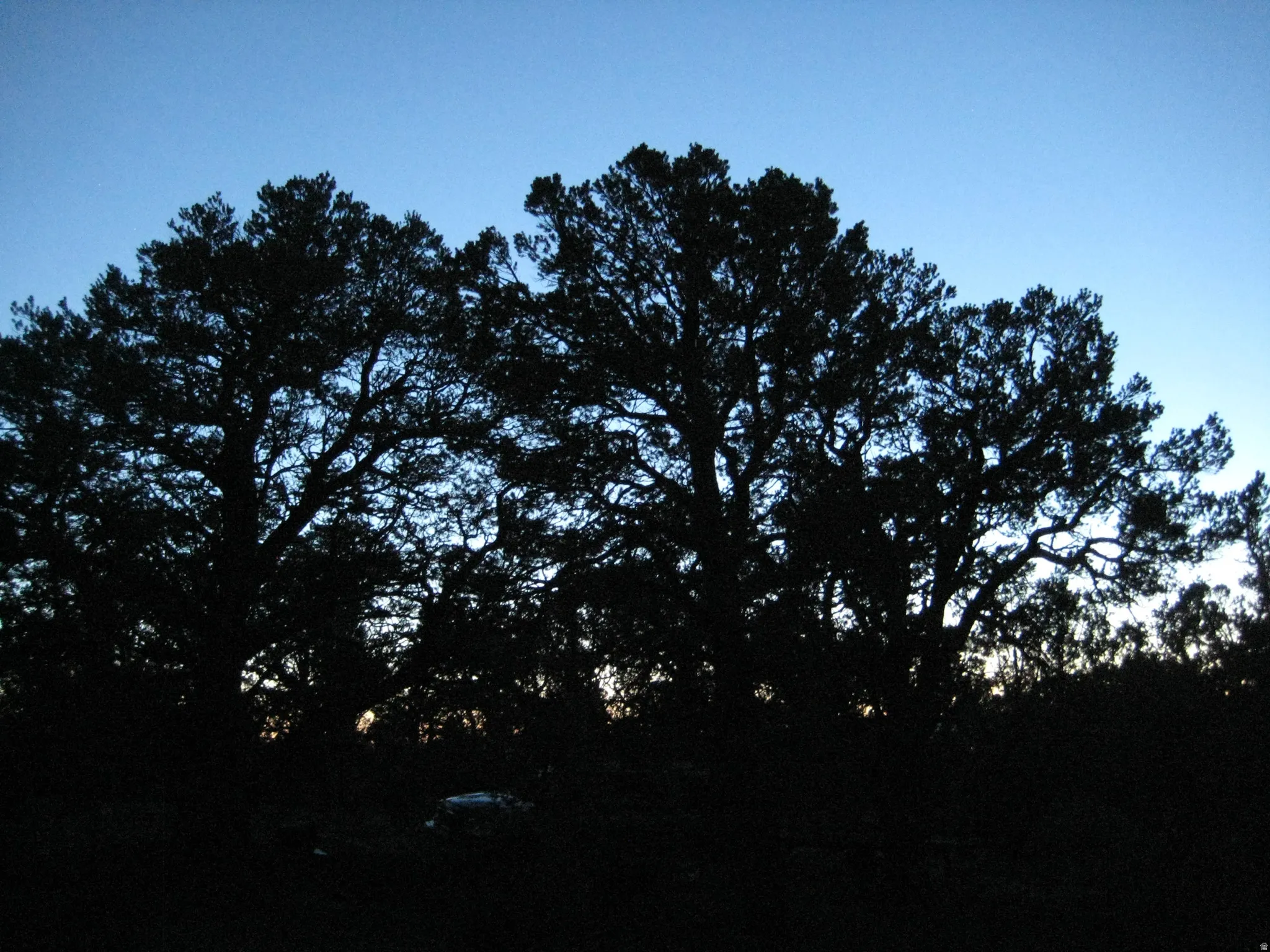 Image quality insufficient for description