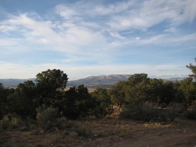 Mountain backdrop with a valley and a natural tree line