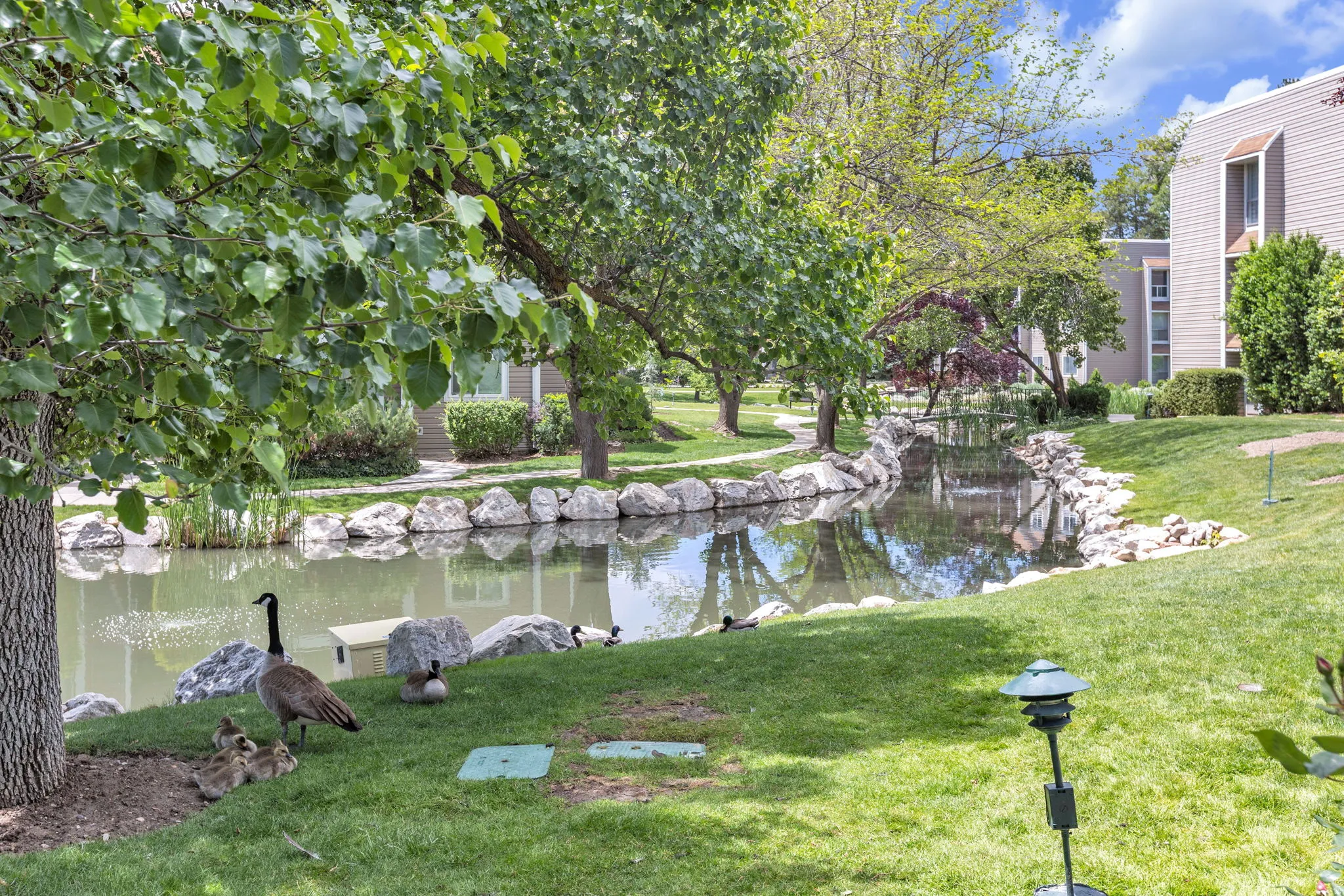 Landscaped pond feature with rock-lined banks, surrounded by mature trees and manicured lawns
