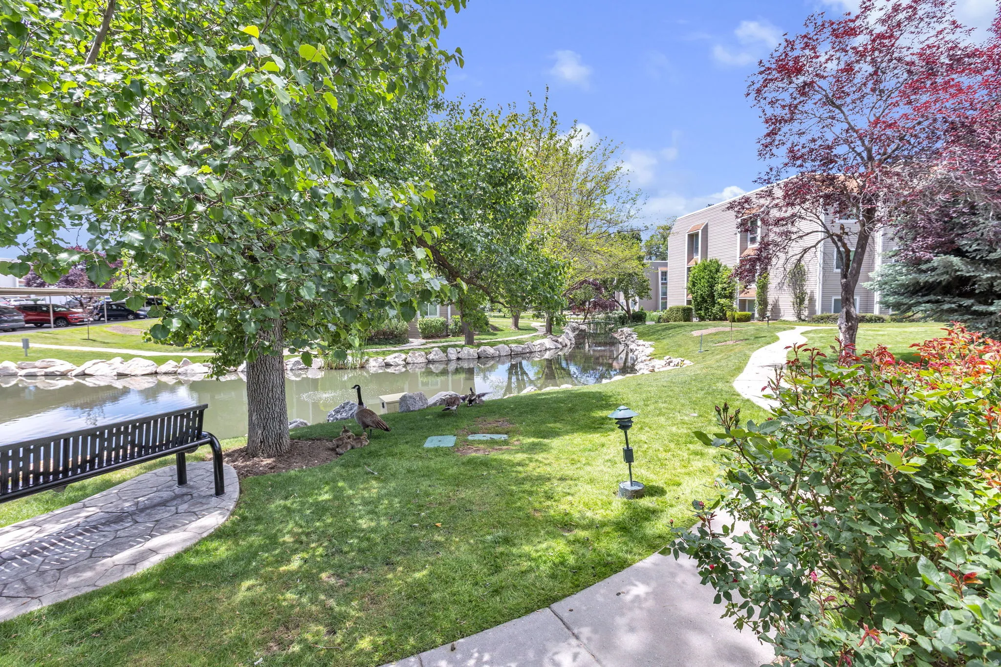 Expansive landscaped grounds featuring a curving pathway, established trees, and a decorative waterway with rock-lined banks
