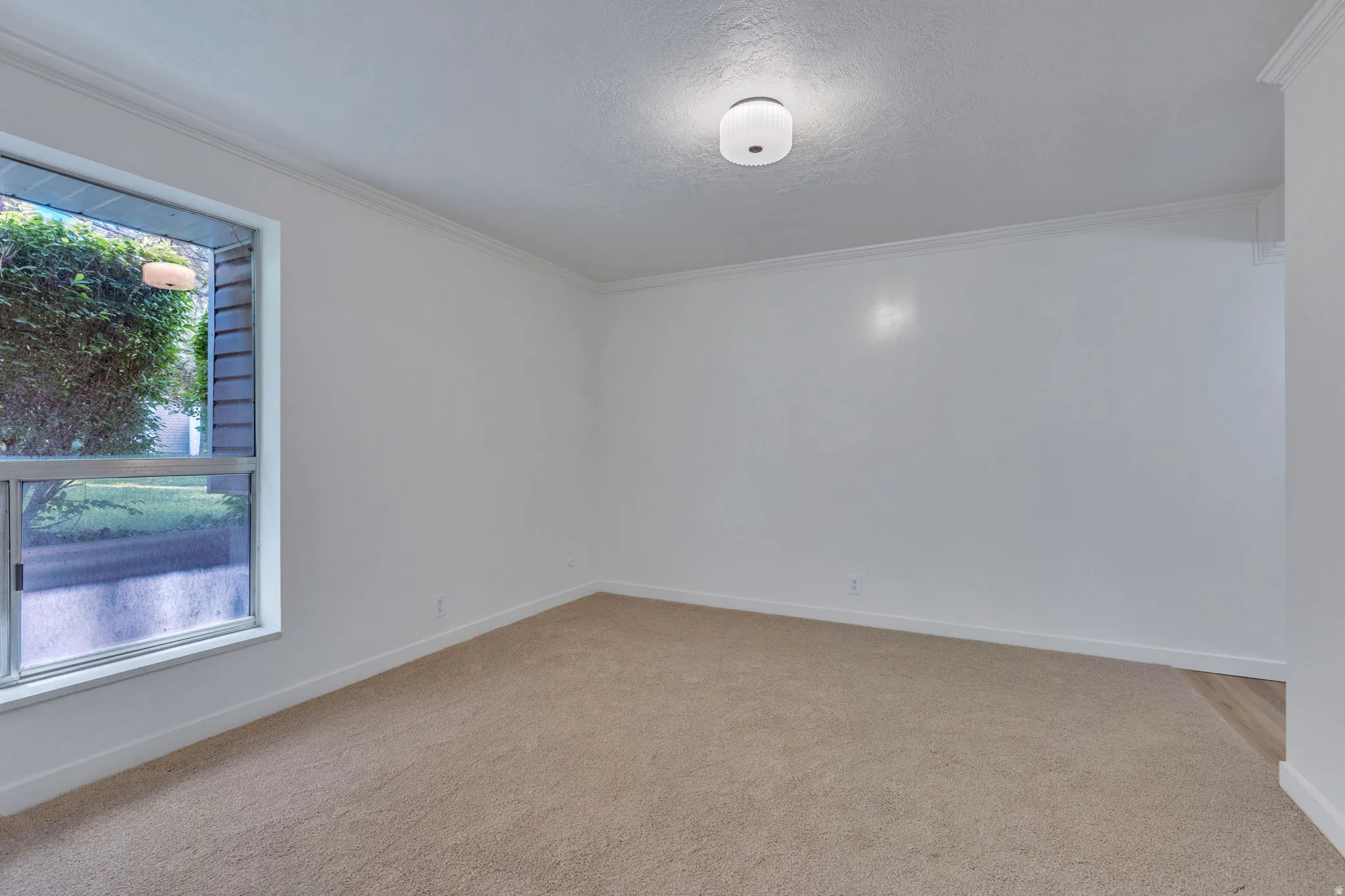 Spacious room featuring neutral carpeting and white wall finishes