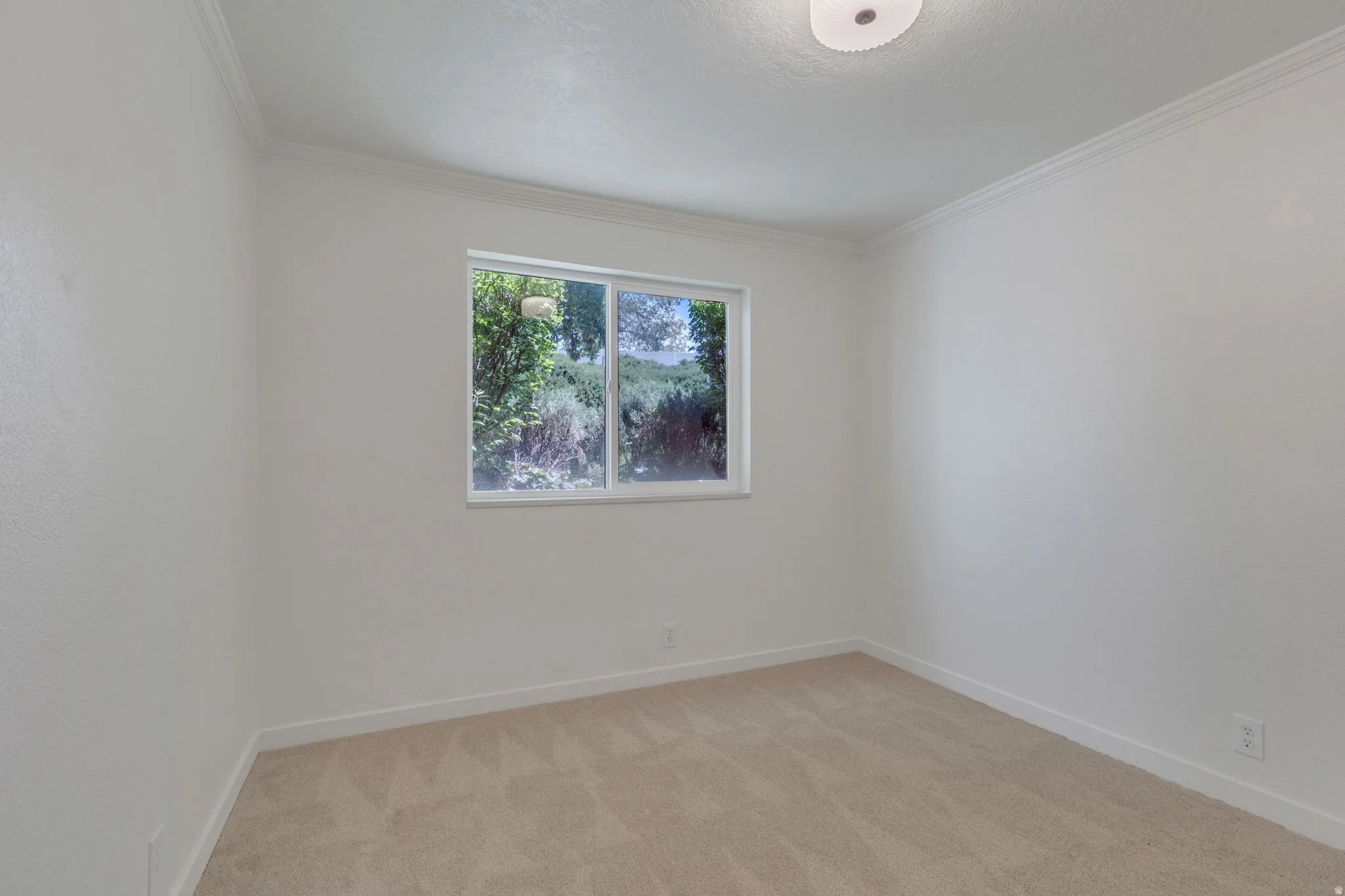 Neutral wall paint, crown molding, and a single window with exterior greenery