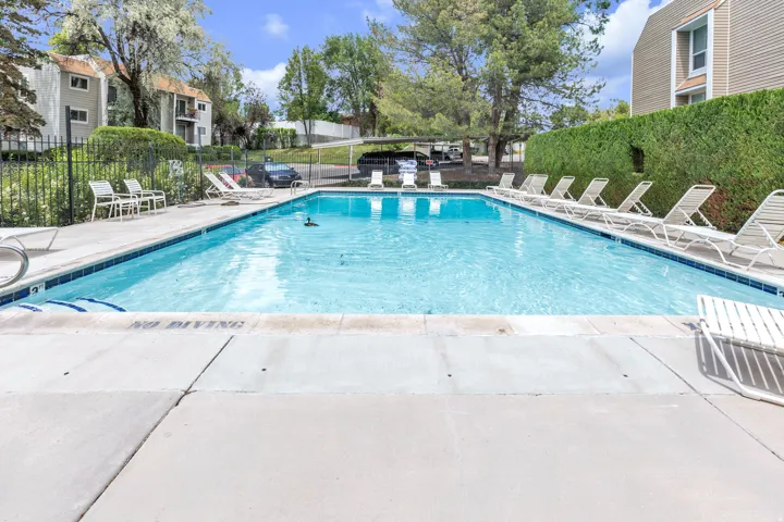 Outdoor swimming pool with a concrete surround, perimeter hedging, and a black wrought iron fence